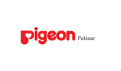 Pigeon pakistan